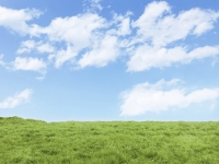 A̕ۈwKIyԈۈ牀̑IѕzƂ